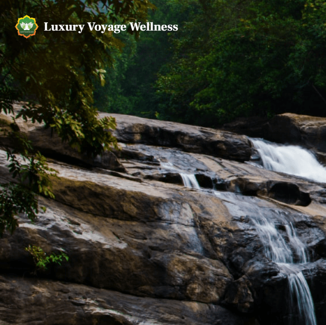 Luxury Voyage Wellness